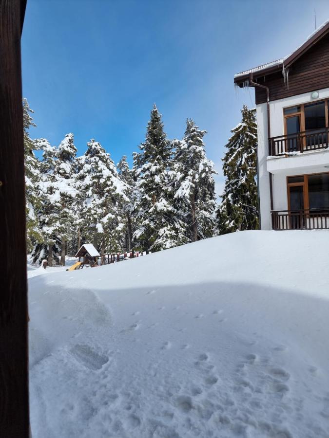 Borovets Ski&Spa Studio - Semiramida Garden A16 מראה חיצוני תמונה