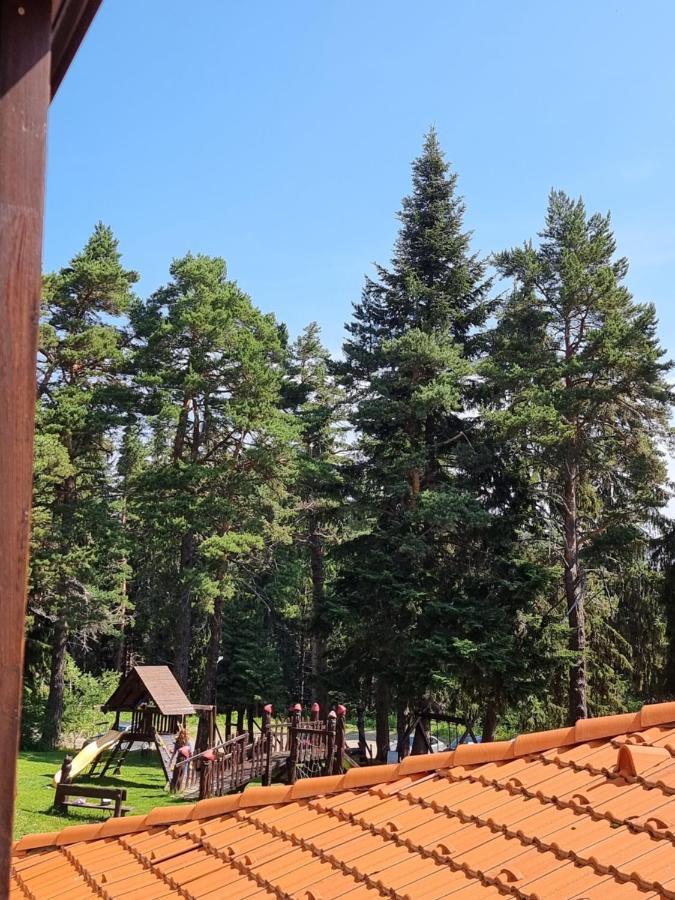 Borovets Ski&Spa Studio - Semiramida Garden A16 מראה חיצוני תמונה